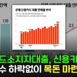 한국에서 안전하게 카드